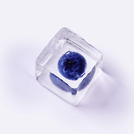 Blueberry frozen inside a clear ice cube squishy squeeze toy