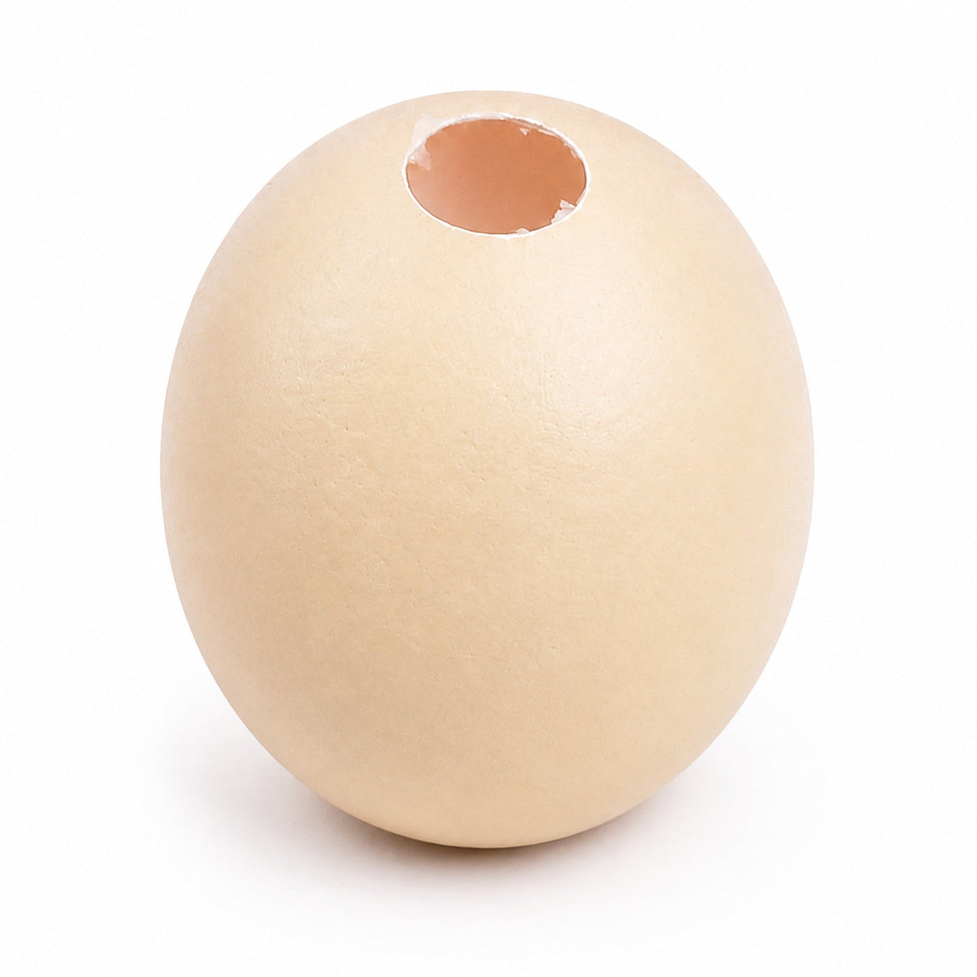 Egg Squishy Guide: The Stress Toy You Must Squeeze