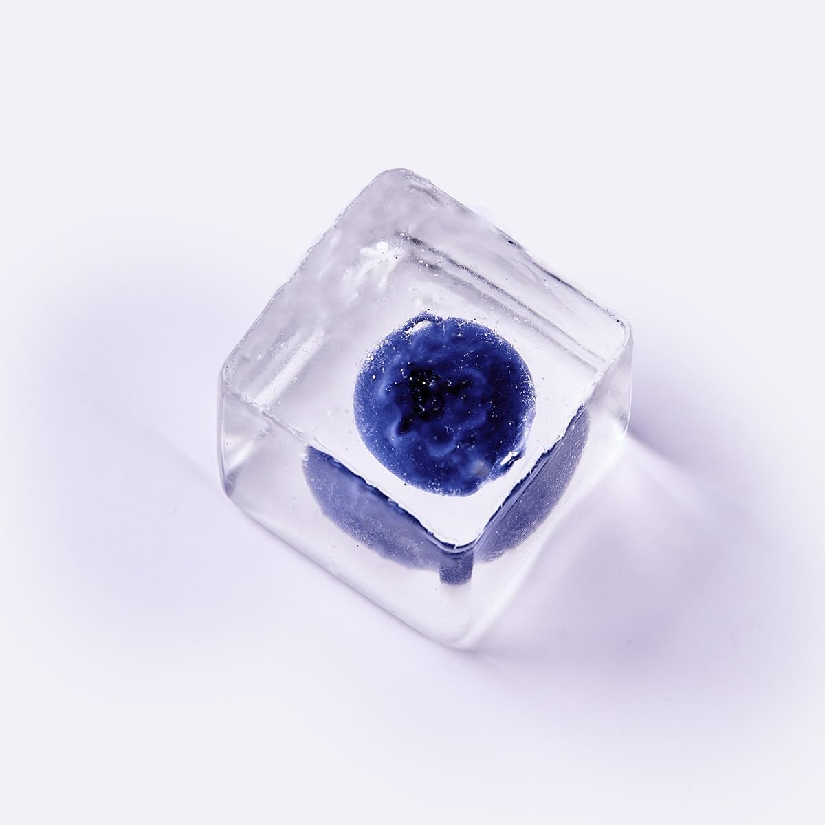Blueberry Squishy Ice Cube Clear Squeeze Sensory Fidget Toy