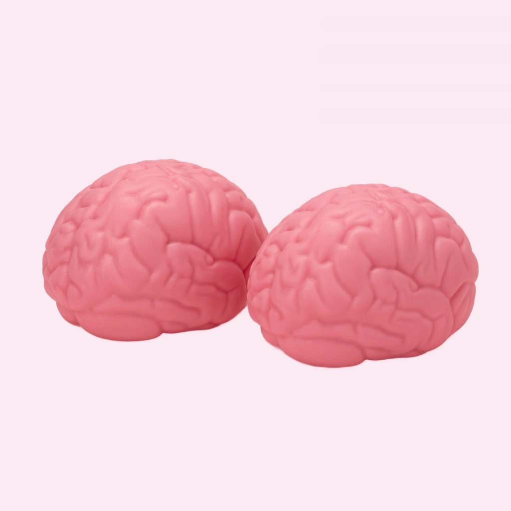 Gehirn-Squishy 2er-Pack — dehnbar zum Ziehen und Matschen