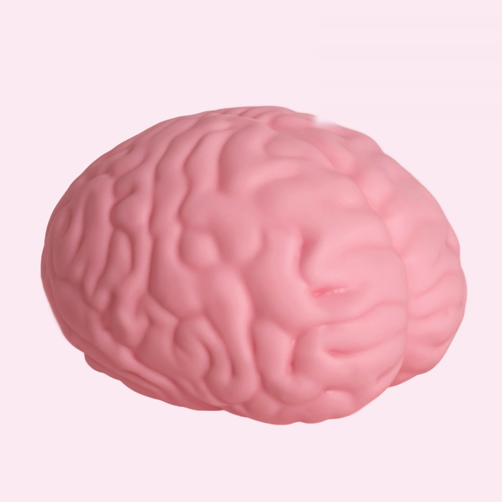 Slow rising pink brain squishy sensory fidget desk toy
