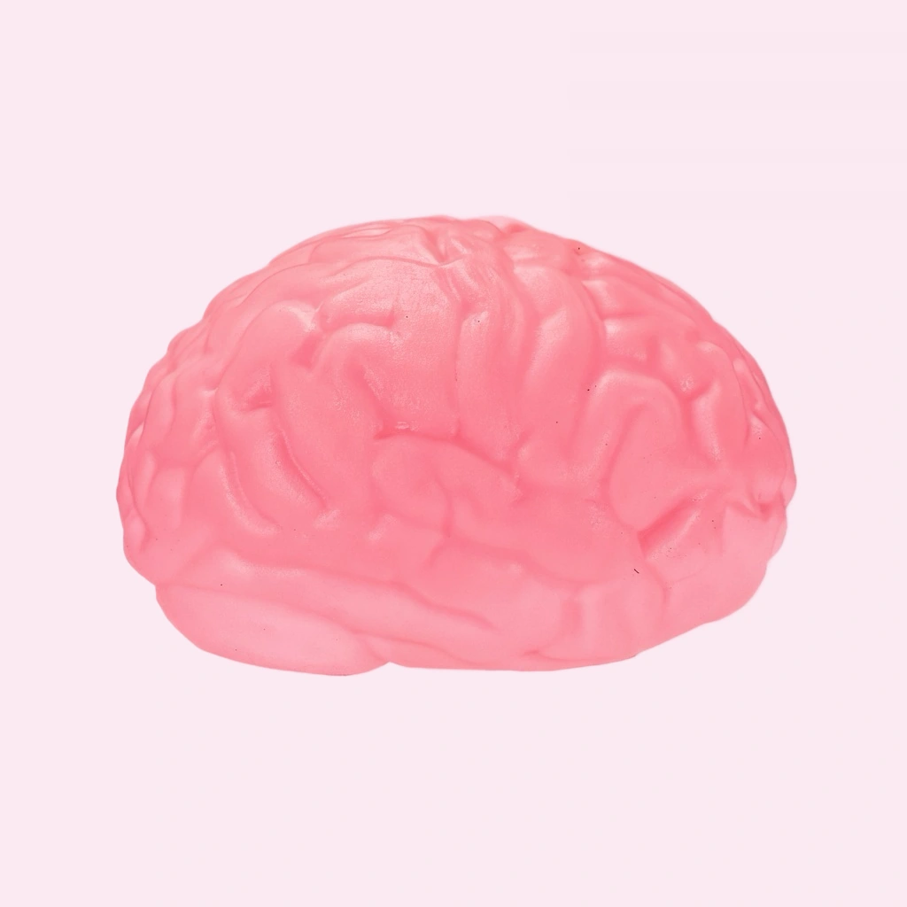 Stretchy Brain Squishy Squeeze Stress Relief Toy