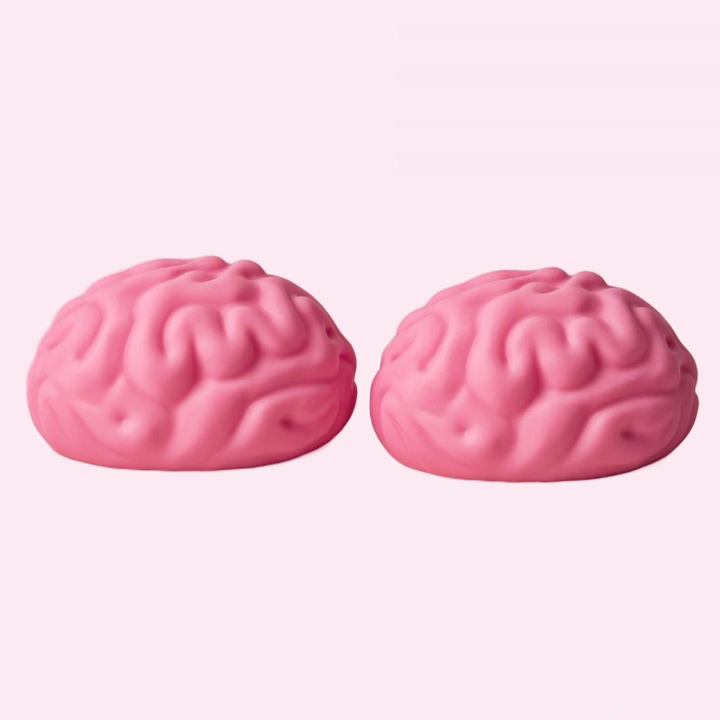 Twin Brain Squishy Giant 2 Pack Slow Rising Toys