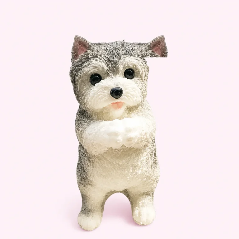 My Dog Ate a Squishy: What to Do (Calm, Practical Steps)